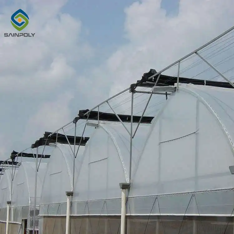 Factory Direct 1000M2 Greenhouse Smart English Design with PVC and Film Material