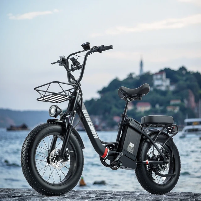 Large Capacity Lithium Battery Electric Bicycle Long Range BRUCHDA U8  48V 20 Inch 4.0 Fat Tire Mountain Bike Food Delivery Bike