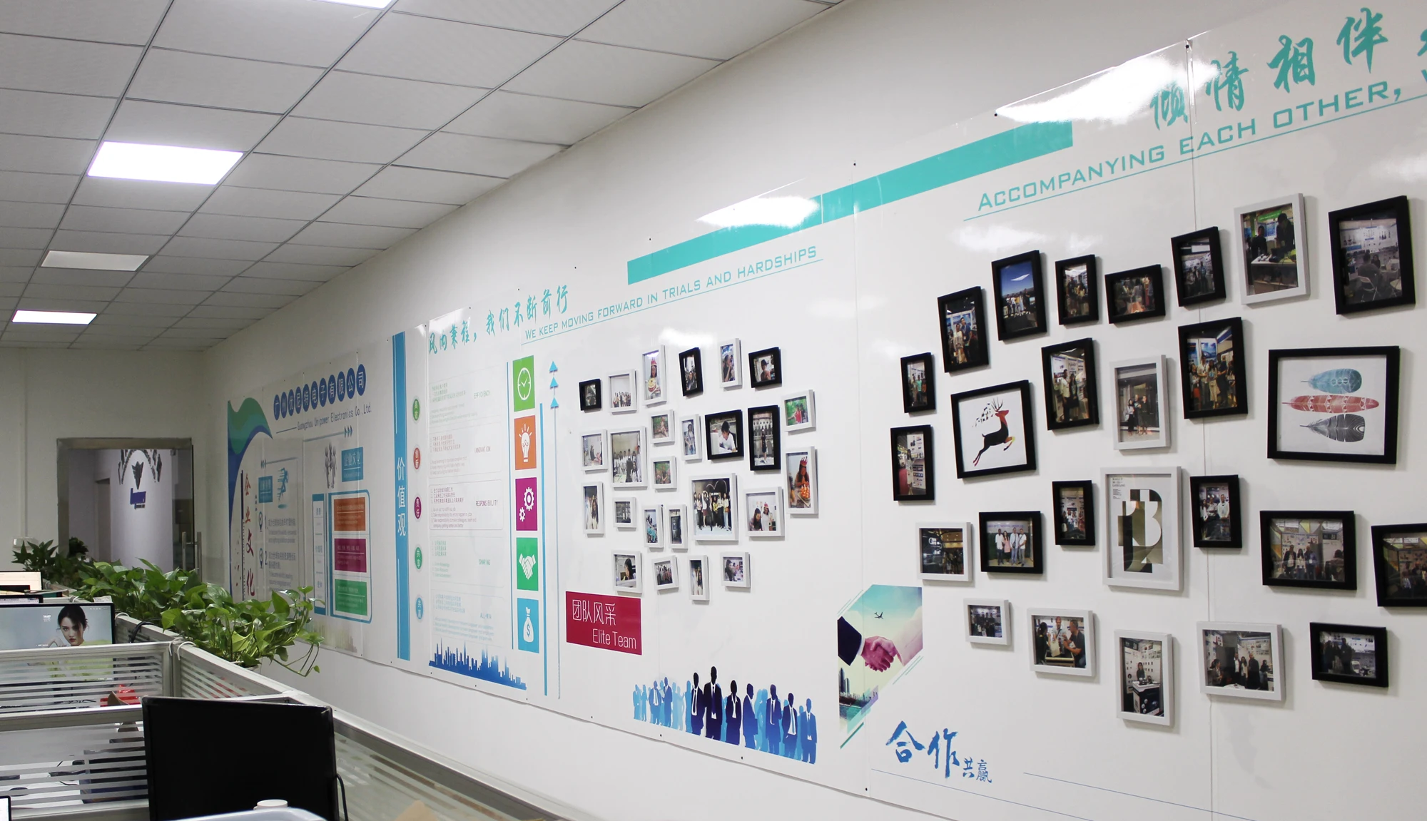 R&D Professional Team