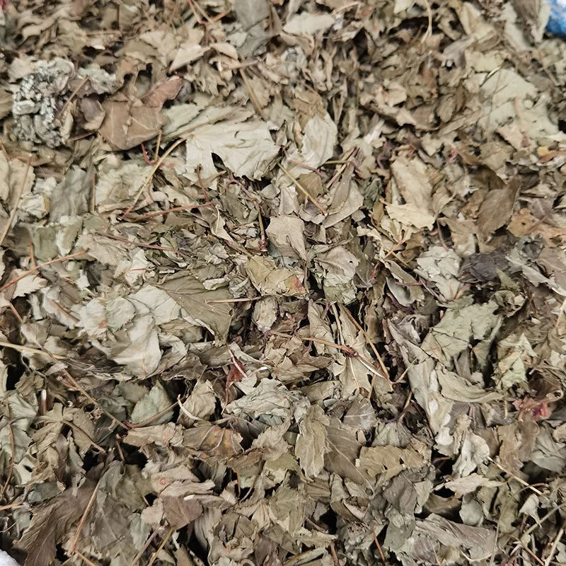 Raspberry Leaf Tea Wholesale Raspberry Leaves FU PEN ZI YE