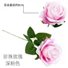 Pearl Rose, Deep Pink