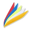 สีสัน