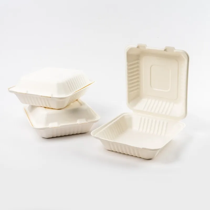 Eco-friendly Degradable Wholesale Compostable Take Away Sugarcane Bagasse Lunch Box Clamshell Container Camping Box with Lid