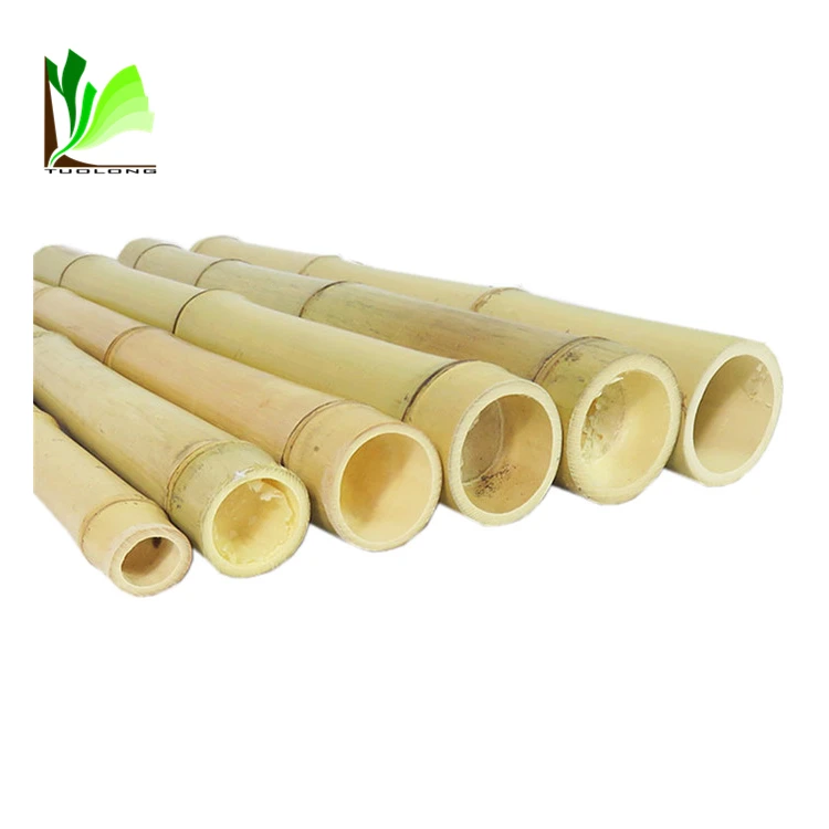 Bamboe Stokken Rechttrekken Bamboe - Buy Bamboe Stokken Rechttrekken Bamboe, Bamboe Stokken Verkoop,Recht En Bamboe Stokken Product on Alibaba.com