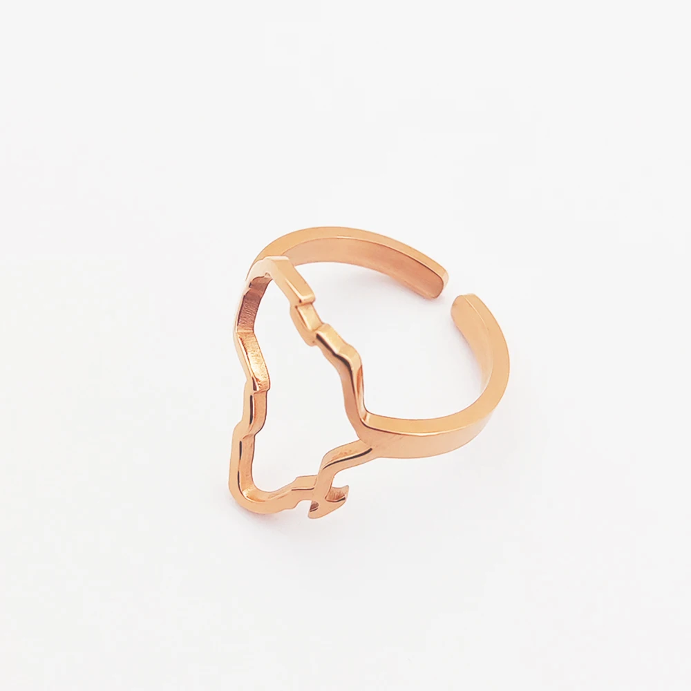 Stainless Steel Africa Map Ring Custom Jewelry 18k Gold Plated Hollow ...