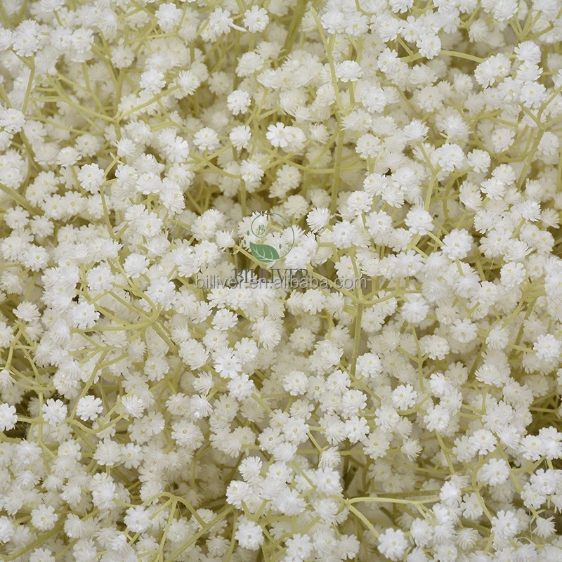 künstliche rosenblätter dm Rosenblütenblätter main image 0