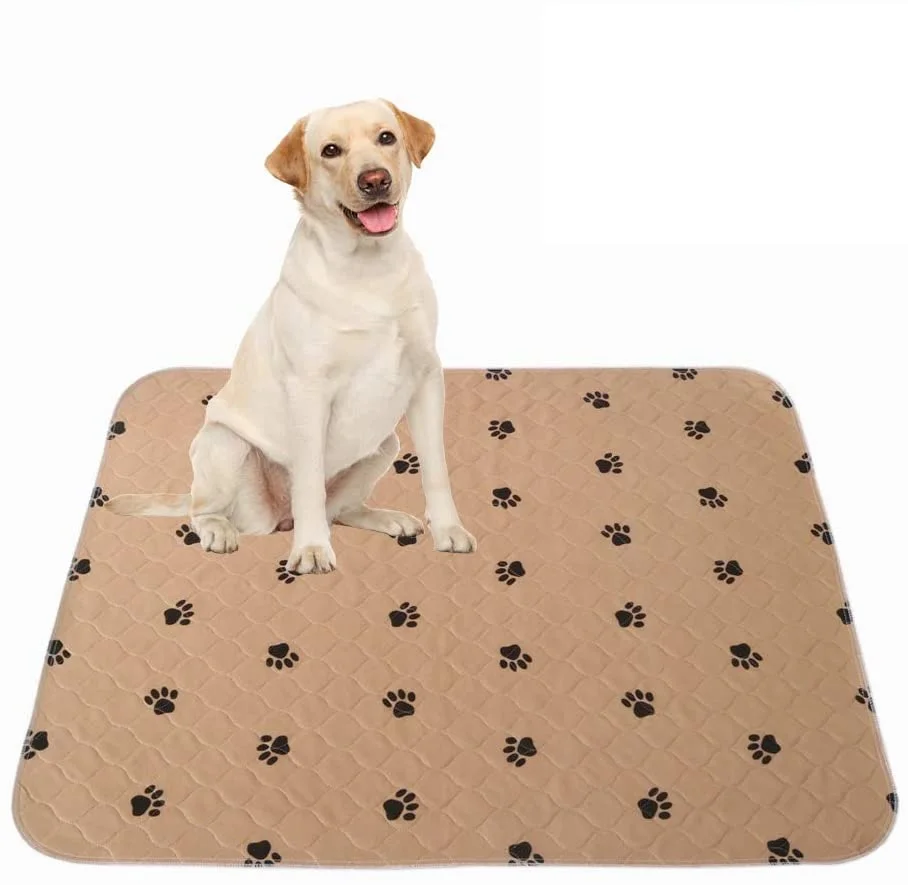 Foldable Soft Quick Drying Pet Training Pee Pad supplier