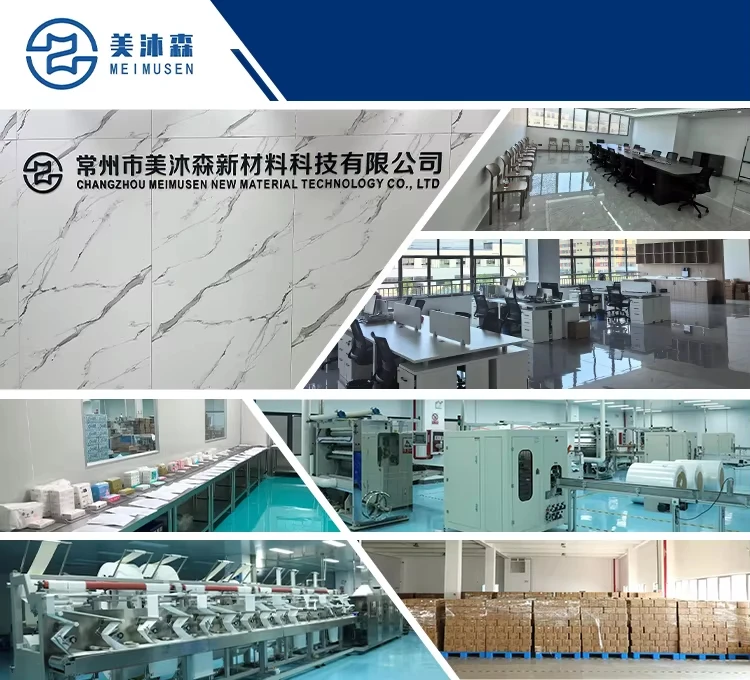 Changzhou Meimusen manufacturing campus Company headquarters and production facility exterior view