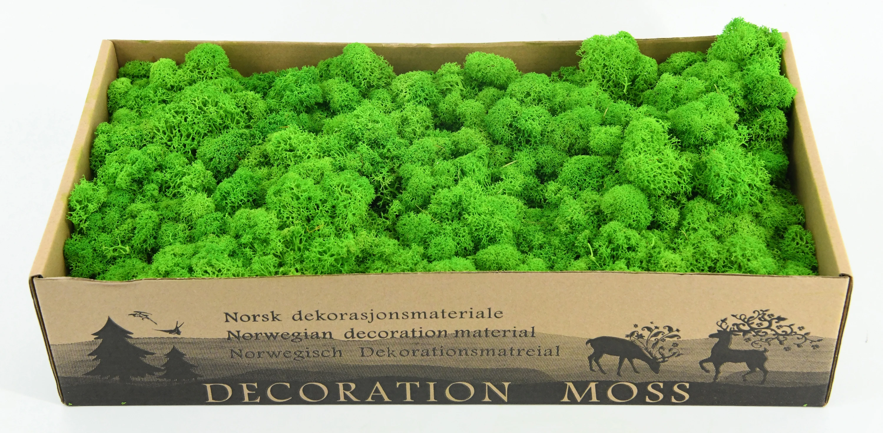 wholesale indoor natural green decorative lichen