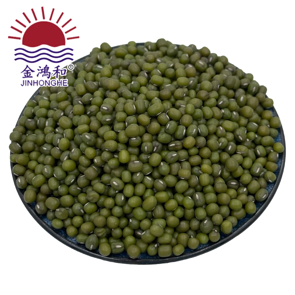 Good Selling Agricultural Cereals No Added Organic Beans Nutrient Green Sprouts Dried Sprouts