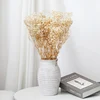 Natural Cream