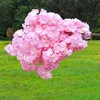 2# rosa claro