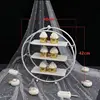 round cake stand