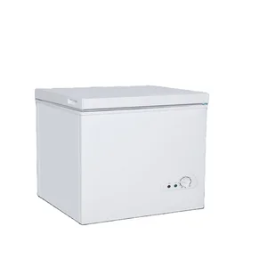 138L China Hotel Commercial Horizontal Single Door Small Freezer with Grade 1 Energy Efficiency and Easy Clean Feature