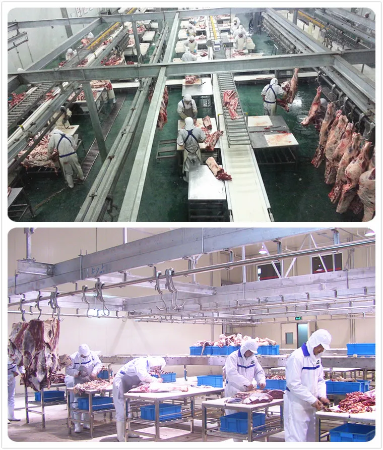 Turnkey halal fully automatic cow slaughtering machine for cattle slaughterhouse