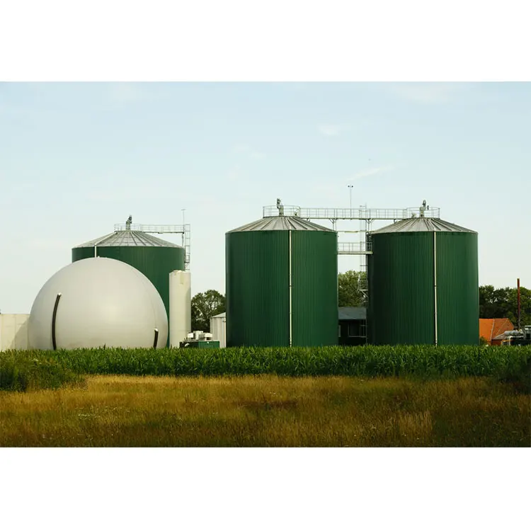 Biogas Digester for Sale Biogas Digester System Mini Biogas Digester