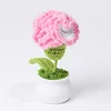 rosa-2