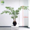B 200 cm verde