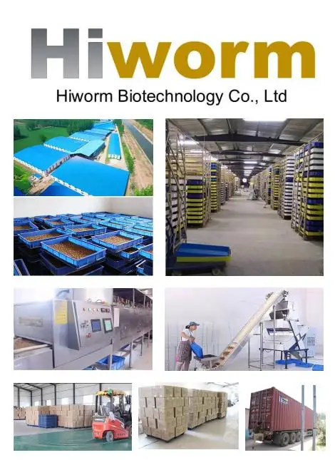 Hiworm Biotechnology Co., Ltd.