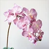 Light red-purple