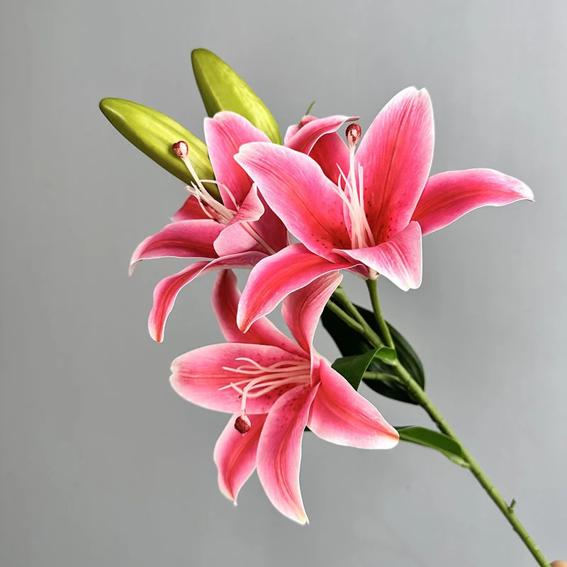 lily flower painting Easter Lily