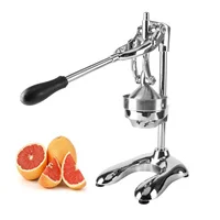 fruit juicers (5).jpg