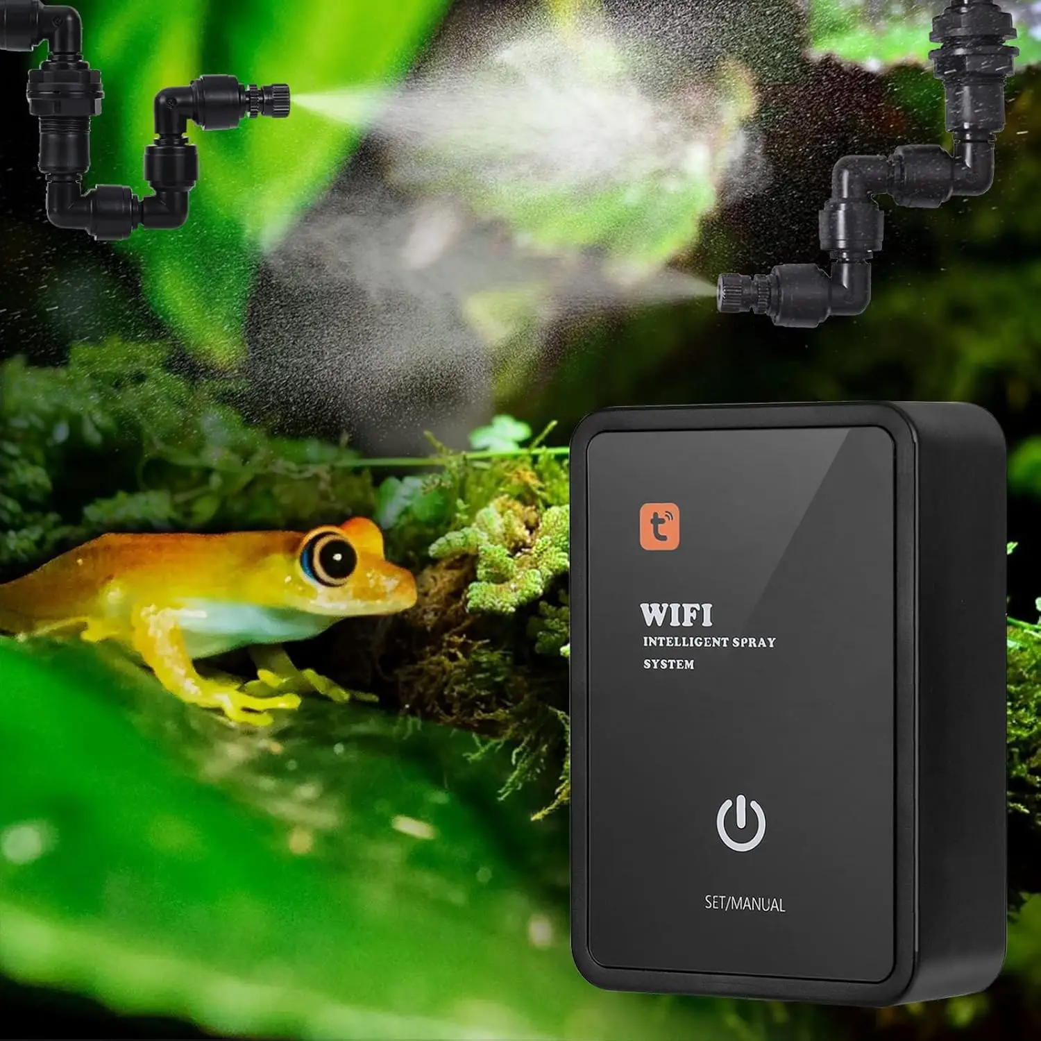 Zehirli Kurbağa İçin Nemlendirici