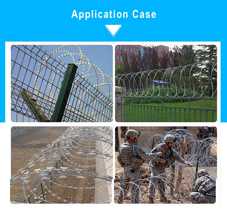 Anti Climb Fence Spikes Wall Spikes Razor Wire Wall Spike Anti Climb ...