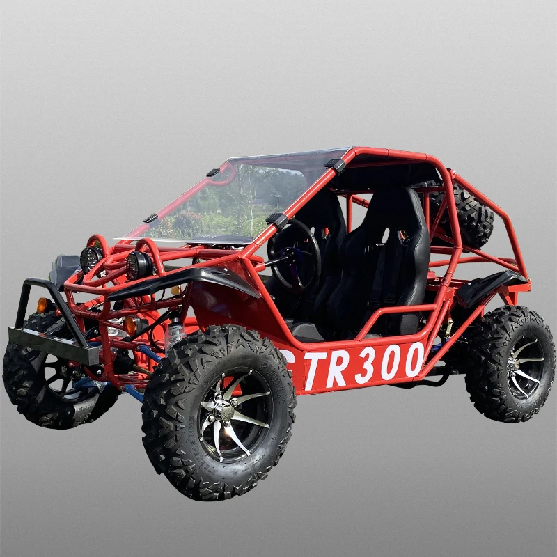 Супер качество многофункциональный на открытом воздухе картинг изготовленный заказ дешевле 2 сиденье с приводным валом Go Kart для