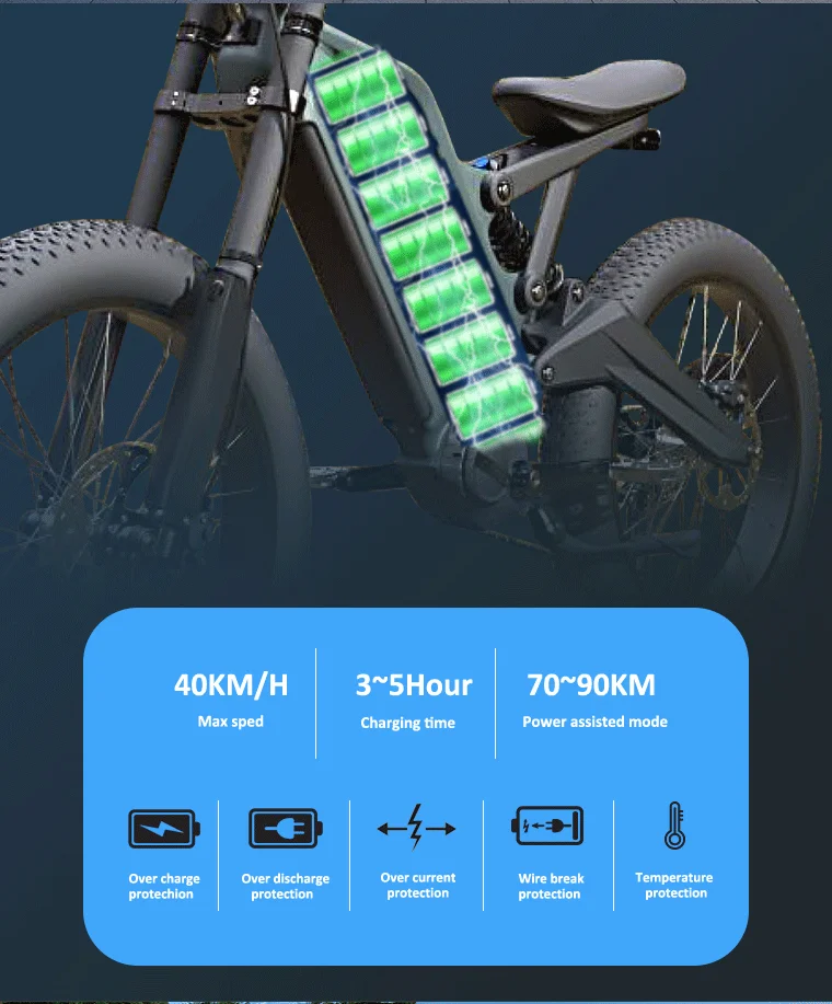 24 inch fat tire electric bike