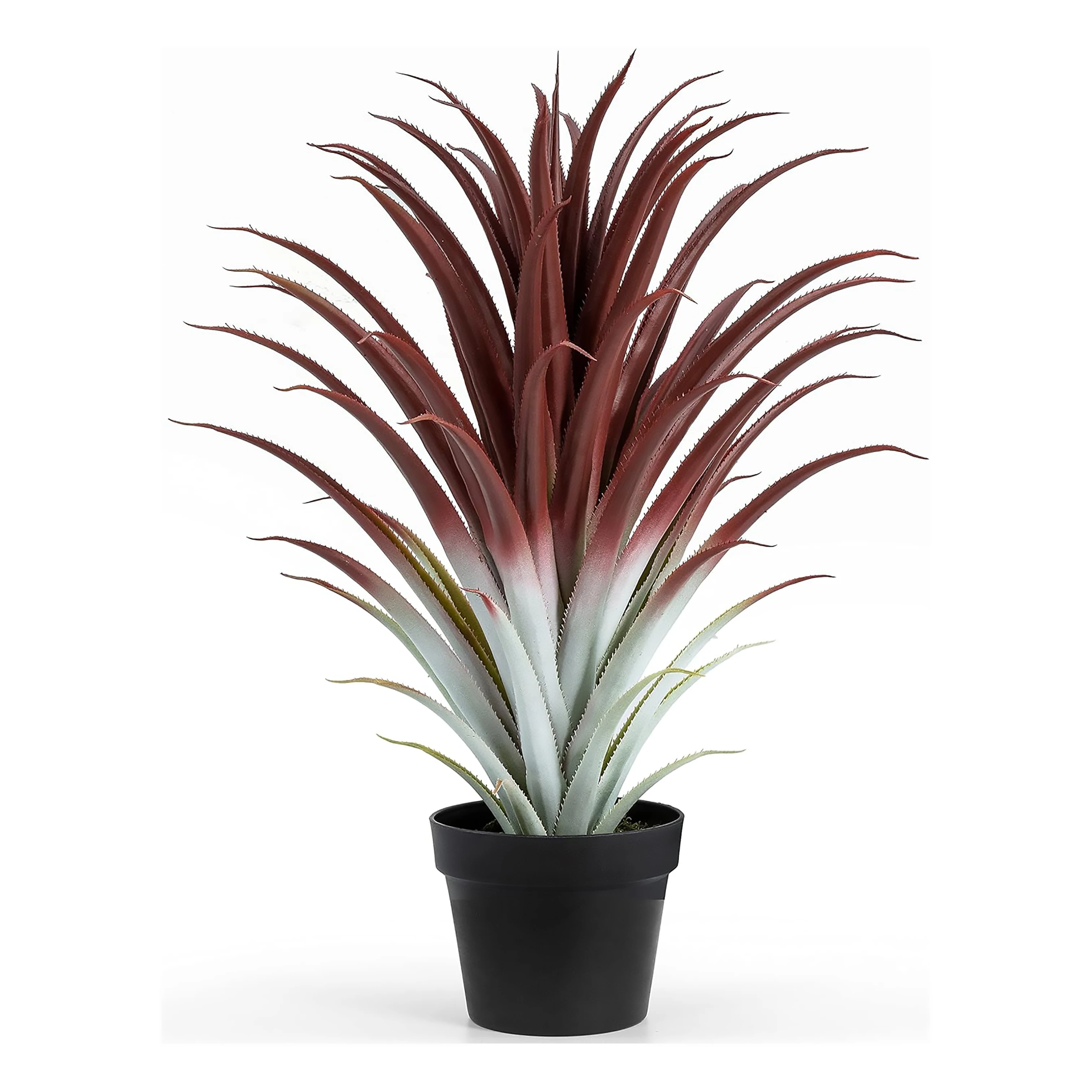 pures aloe vera gel apotheke Aloe Vera Gel  100% Feuchtigkeit [Khlend & Pur]