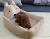 Amazon Comfortable New Style Lovely Cute Foldable Luxury OEM Available Pet Fasion Sleeping Soft And Warm Cat Dog Bed NO 1