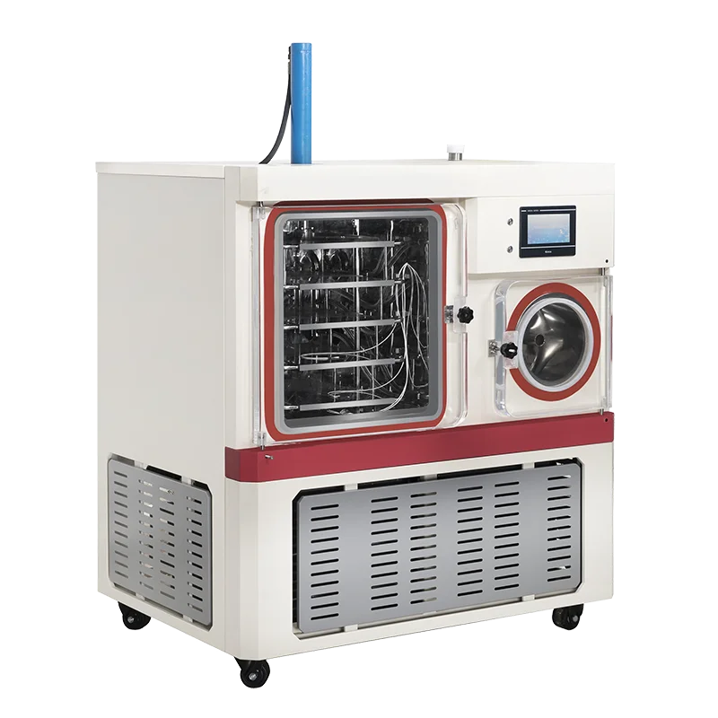 Freezedryer (lyophilizer) Lyophilizer For Vegetables And Fruit Buy