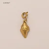 Conch