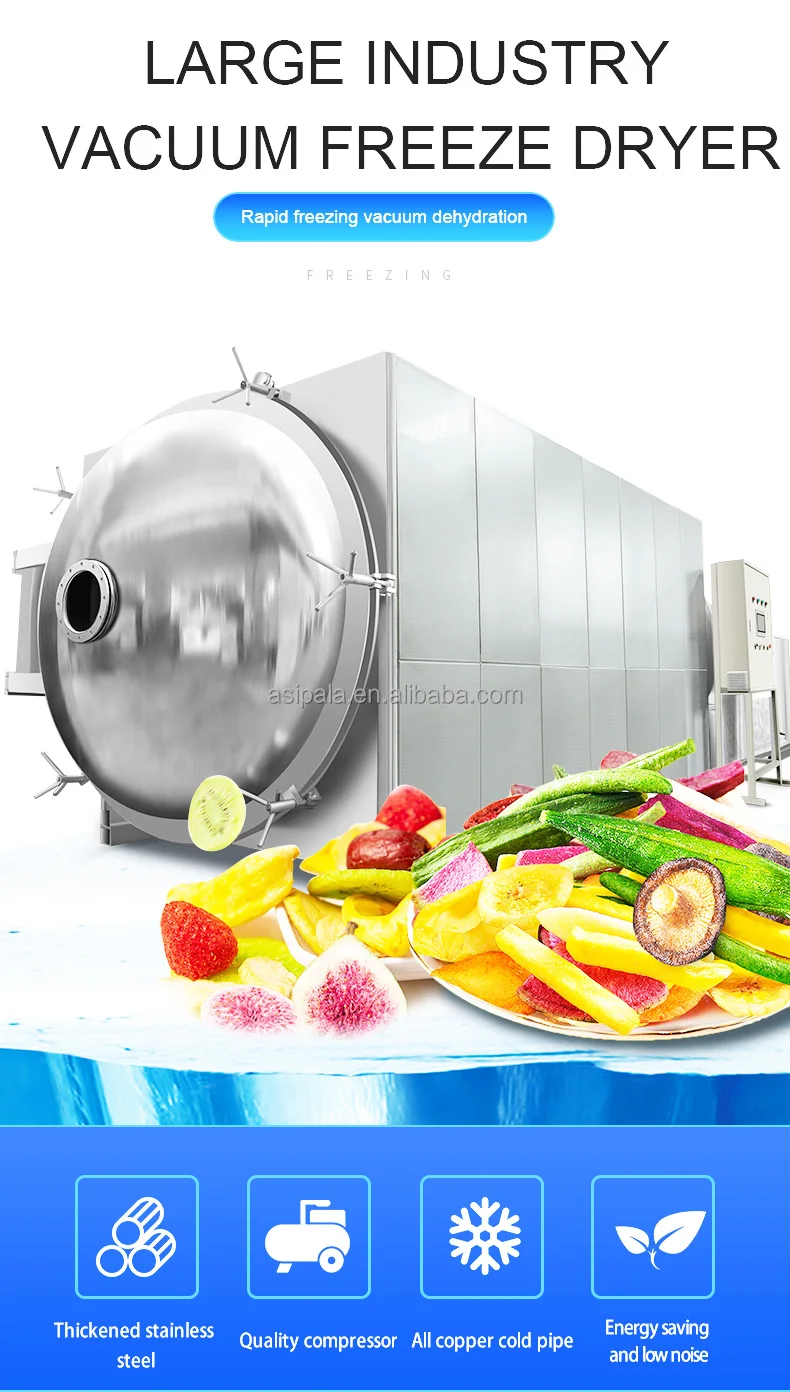 Fruit Food Vegetables Freeze Dryer 1001000kg Lyophilizer Industrial