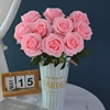 rosa puro