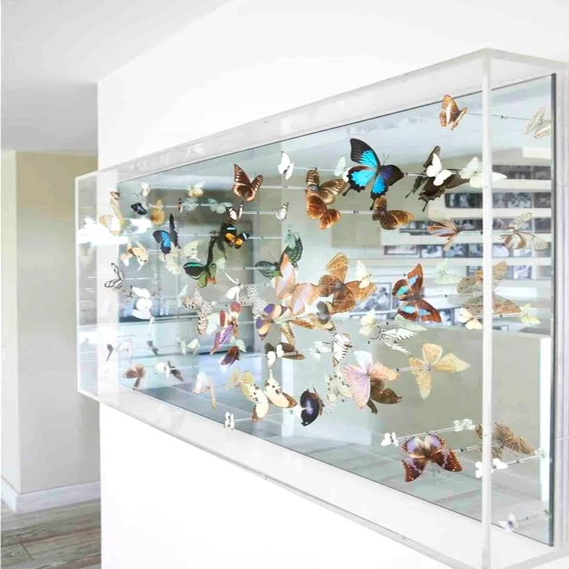 Custom Clear Acrylic Perspex Box Frame With Mirror Backing Buy