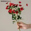 Rose rouge
