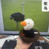 Black ostrich-sings-imitates speech-flaps wings-can talk