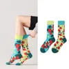 Zy-1004 fragola tesoro