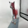 B025 Sheep Anatomy Model