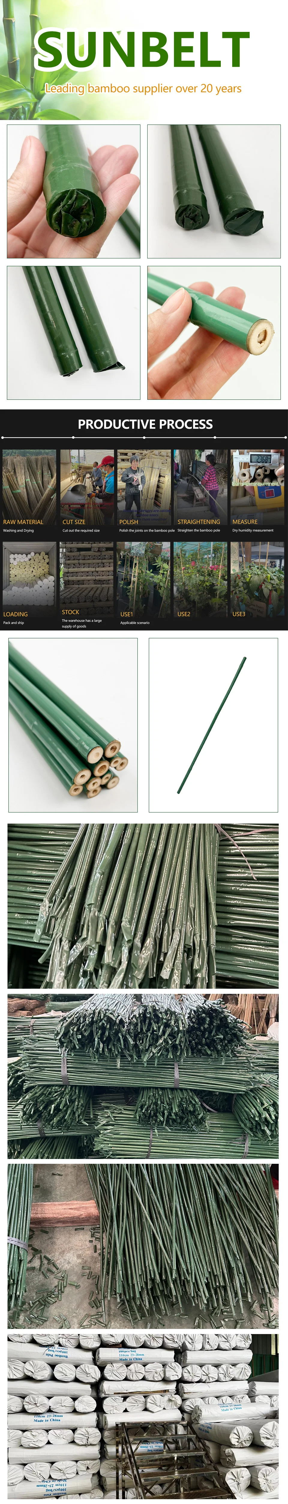 Plastic Coated Bamboo Poles Hand-made Green Black Coated Bamboo Stakes