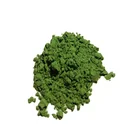 Low Price Of Brand New Non-Toxic Electrostatic Powder Coating Glazed Ceramics Fruit Green Ceramic Pigment