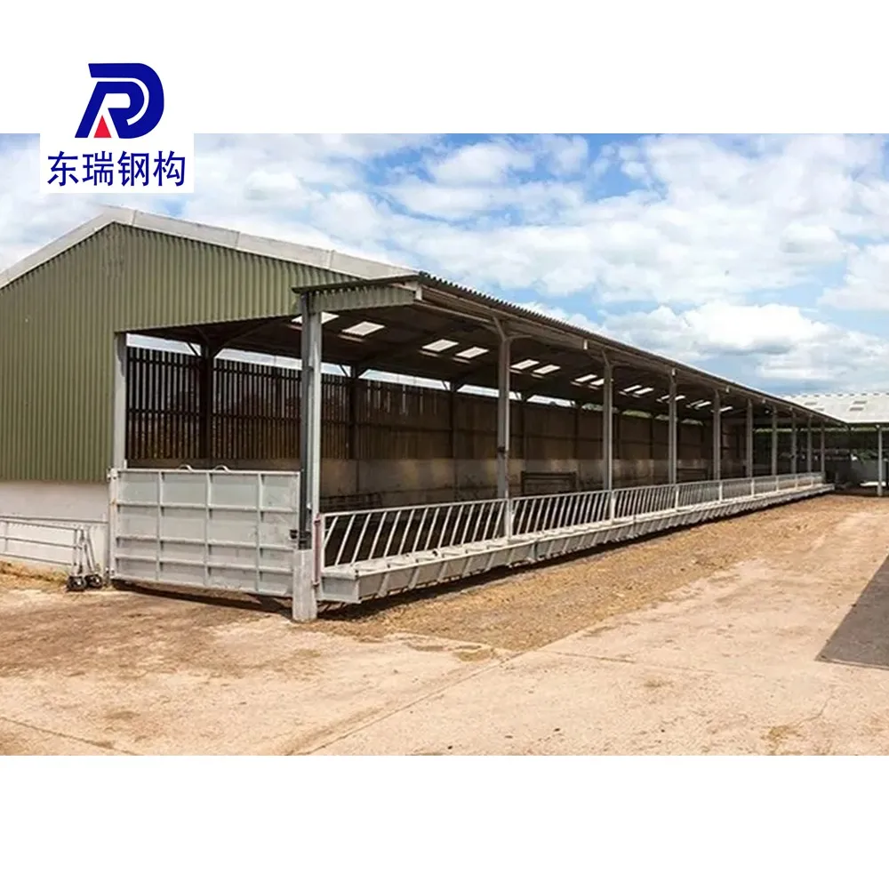 Modern Cow Shed Design Light Steel Structure Dairy Cattle Farm Building