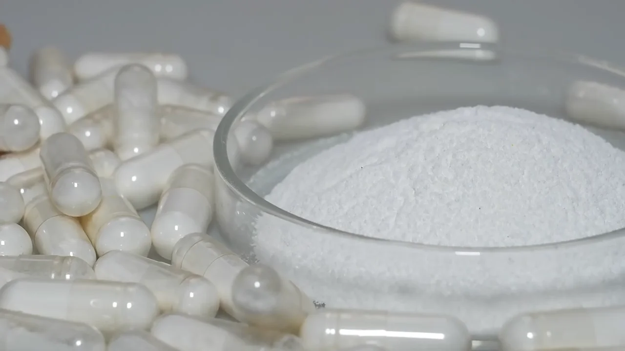 Akkermansia Muciniphila Probiotic Powder Protein Supplement Akkermansia ...