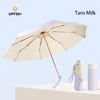 Lait de pâte de taro