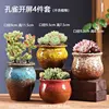 Peacock Spreading Tail Flower Pot 4-Piece Set