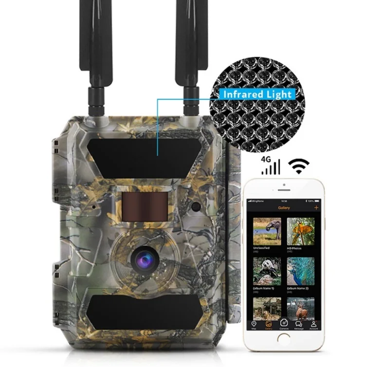 7 Inquiries You Might Ask About Best Night Vision Trail Camera