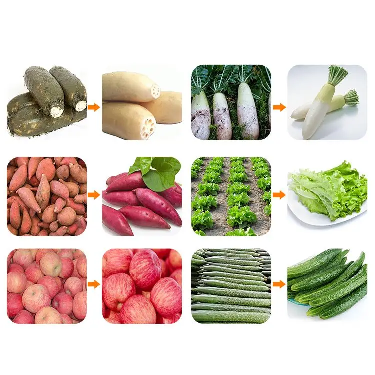 Fruit and Vegetable Washing Machine Fruit Washing Machinery