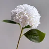 1# Blanco
